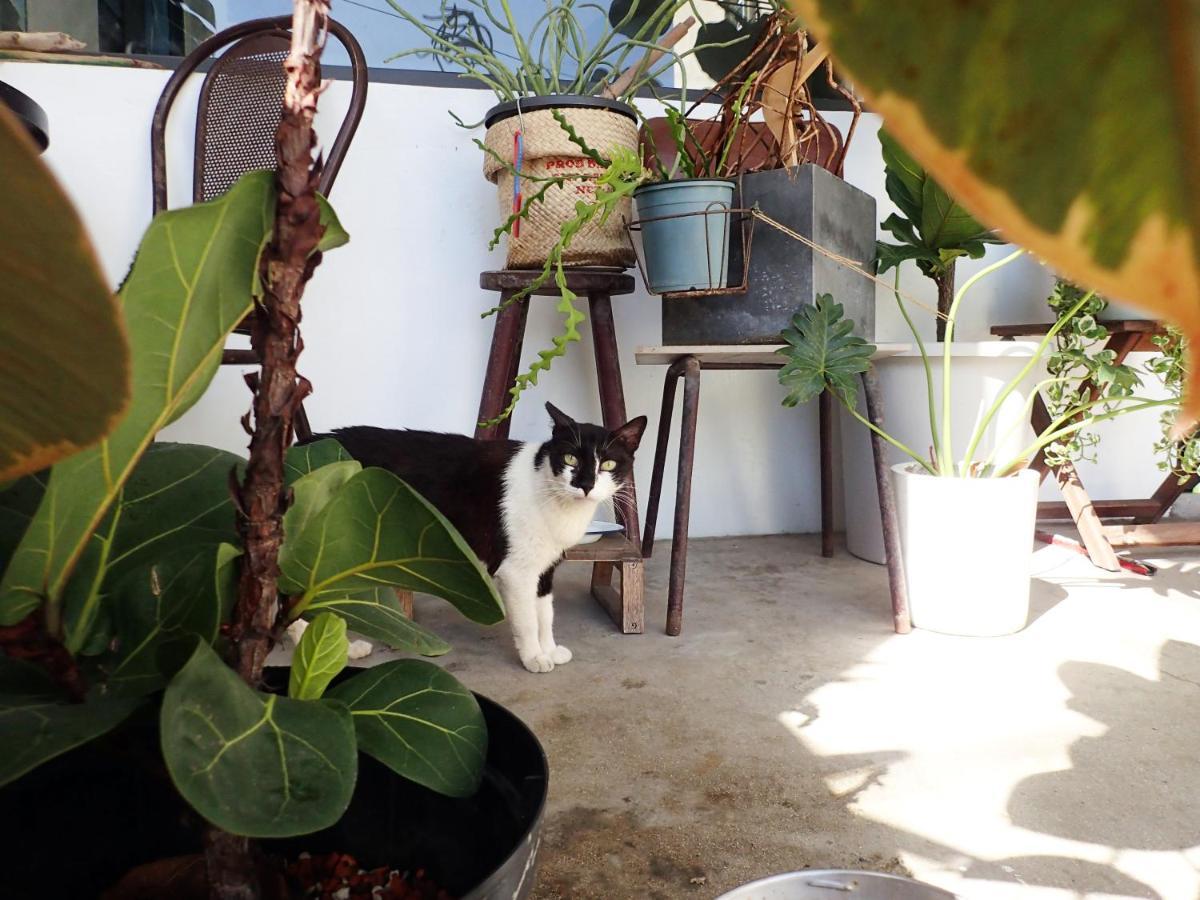 שייאו ליוקיו 群青所 Gatherers Hostel מראה חיצוני תמונה